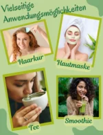 Moringa Pulver
