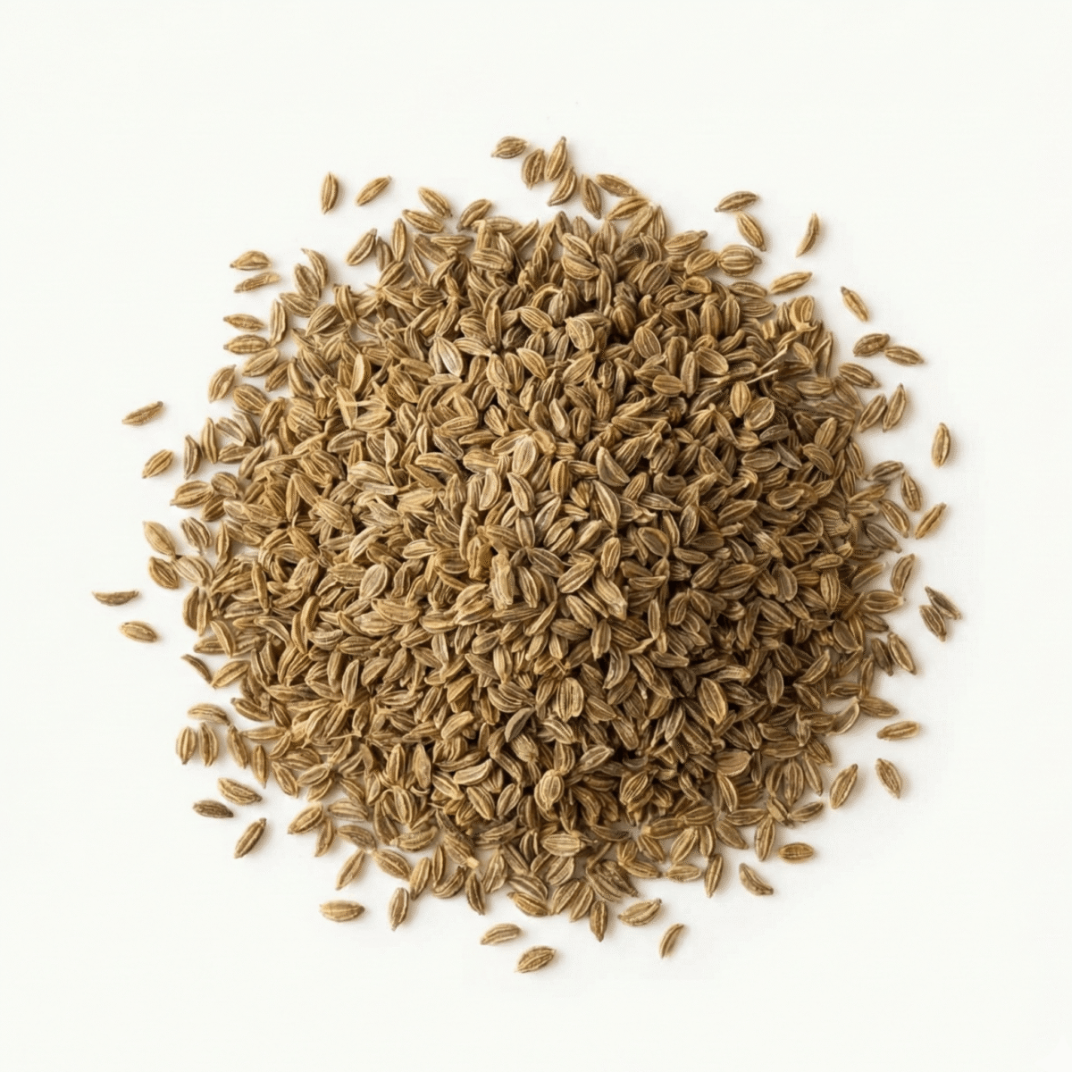 BIO Ajowan Königskümmel