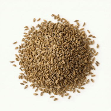 BIO Ajowan Königskümmel