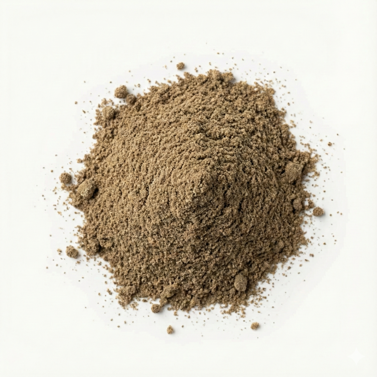 BIO Ajwain Gemahlen