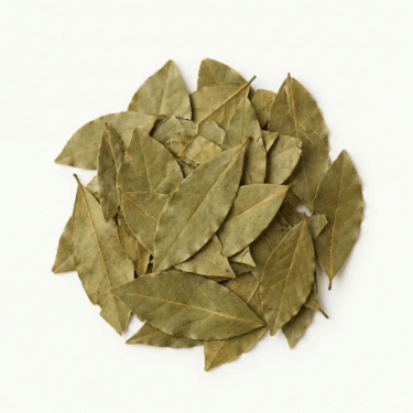 Bio Produkte im Angebot 25 BIO Lorbeerblätter