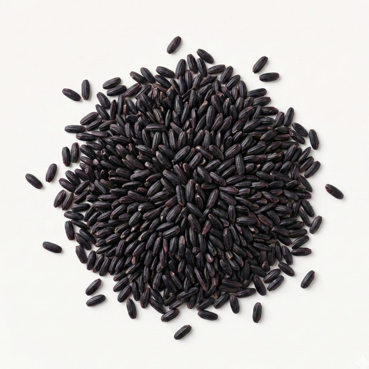 BIO Schwarzer Reis