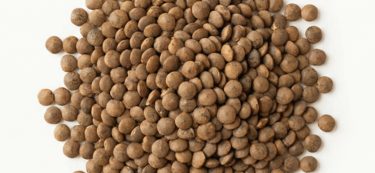 BIO Berglinsen Braun