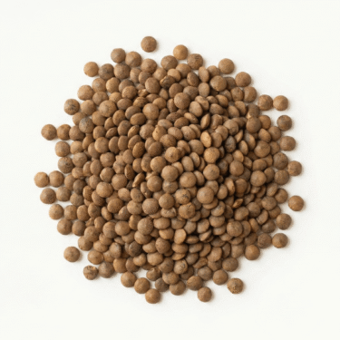 BIO Berglinsen Braun