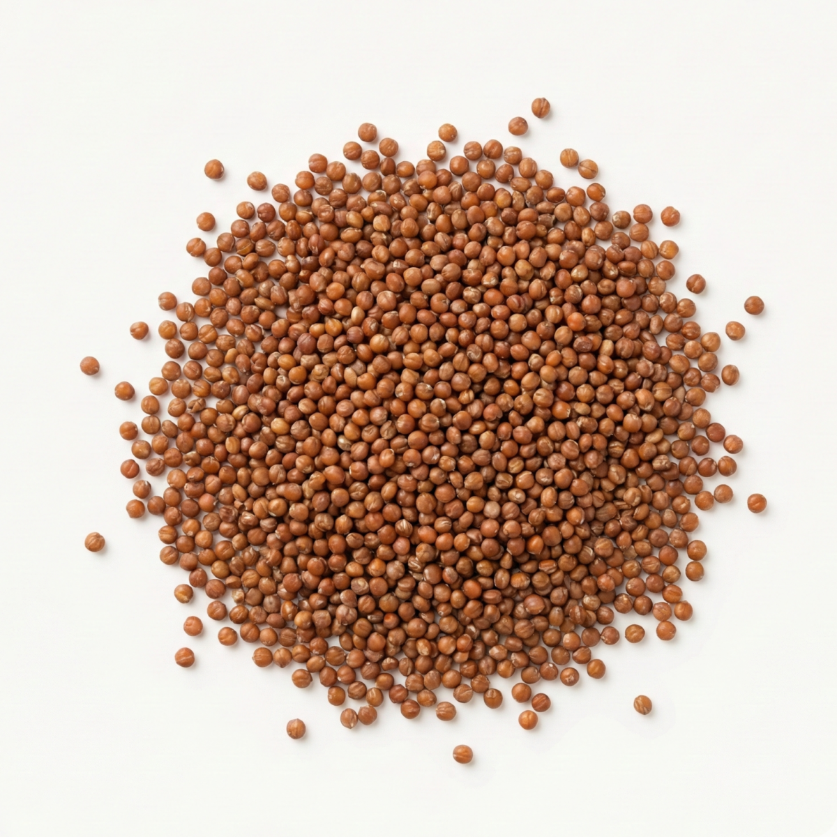 BIO Braunhirse