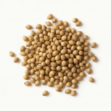 Home 10 BIO Koriandersamen