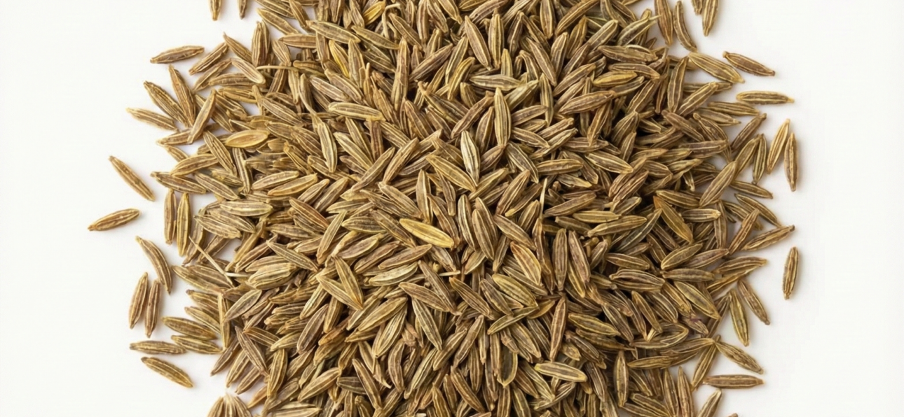 BIO Kreuzkümmelsamen