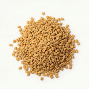 BIO Bockshornkleesamen