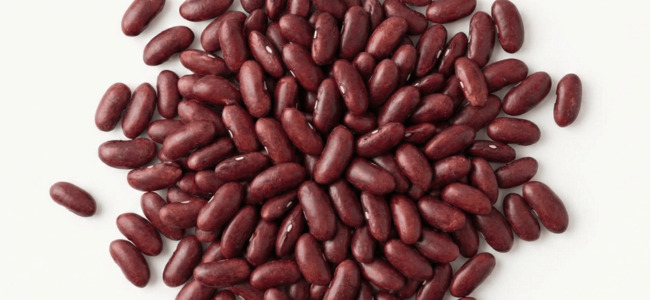 BIO Kidneybohnen Dunkelrot