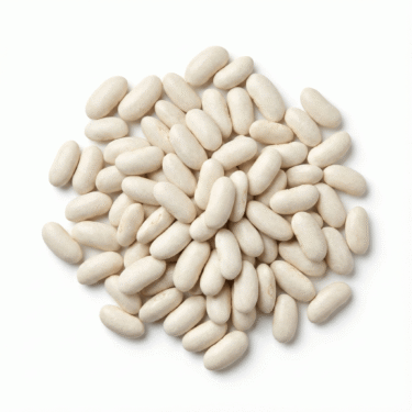 Bio Produkte im Angebot 28 BIO Weiße Bohnen