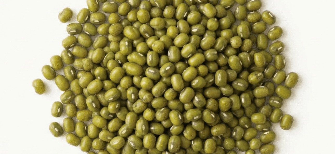 BIO Mungbohnen