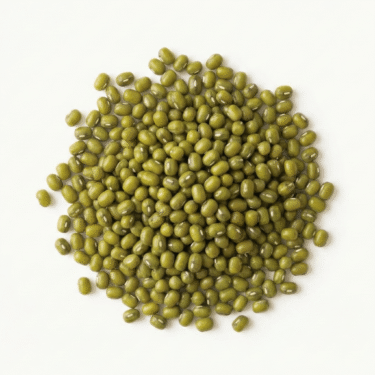 Bio Produkte im Angebot 3 BIO Mungbohnen