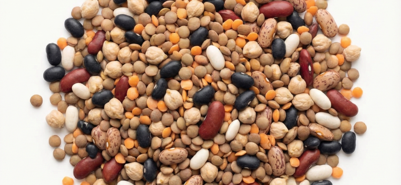 BIO Hülsenfrüchte Mix