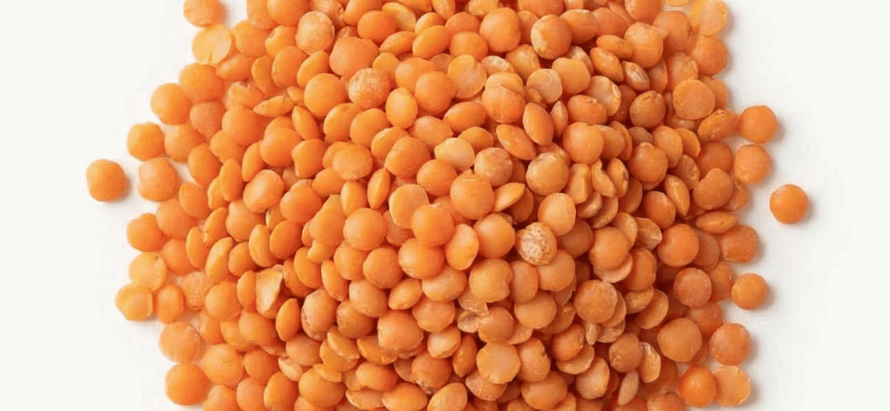 BIO Rote Linsen