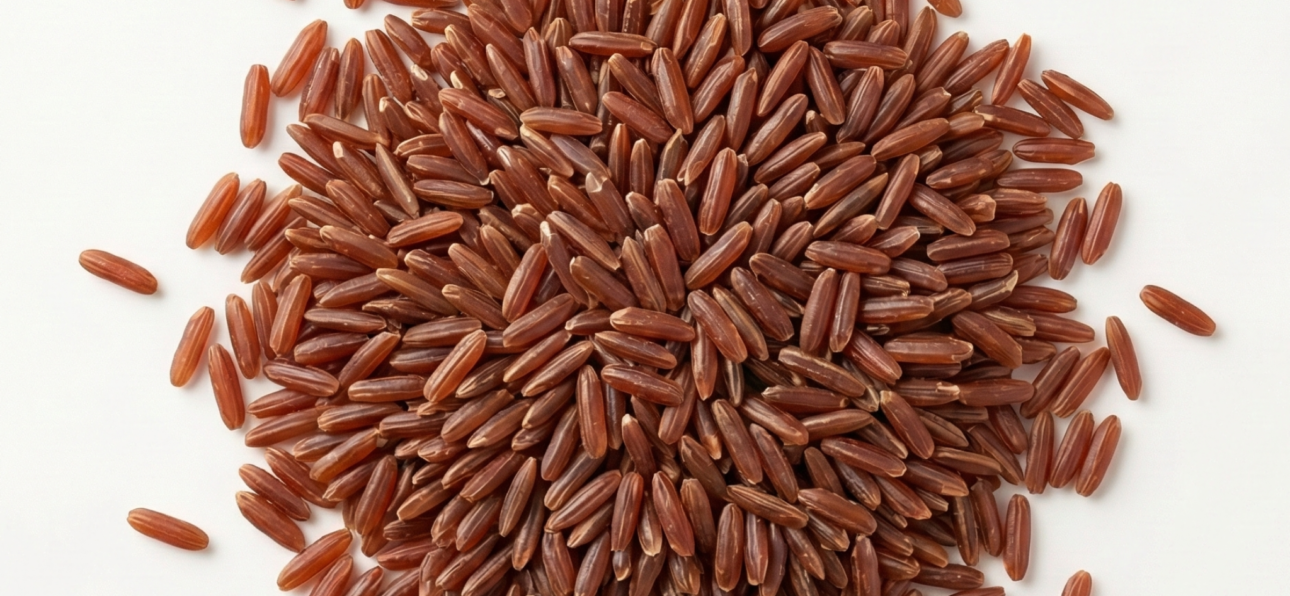 BIO Roter Reis