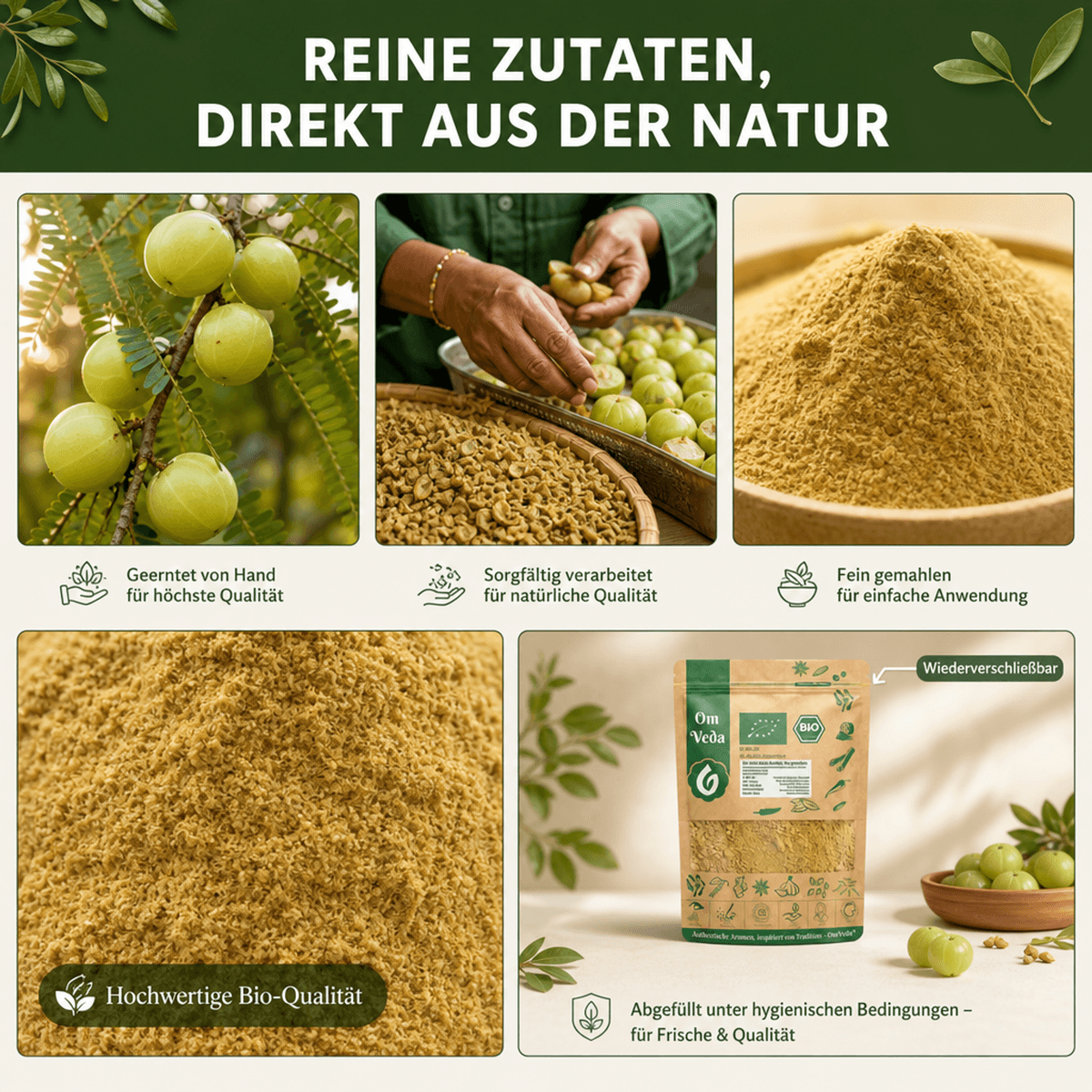 BIO Amla Pulver 6 Amla Pulver
