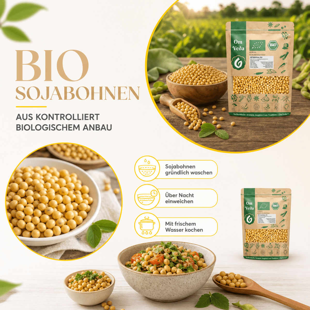 BIO Sojabohnen 7 Sojabohnen