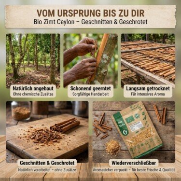 BIO Zimt Ceylon Geschnitten
