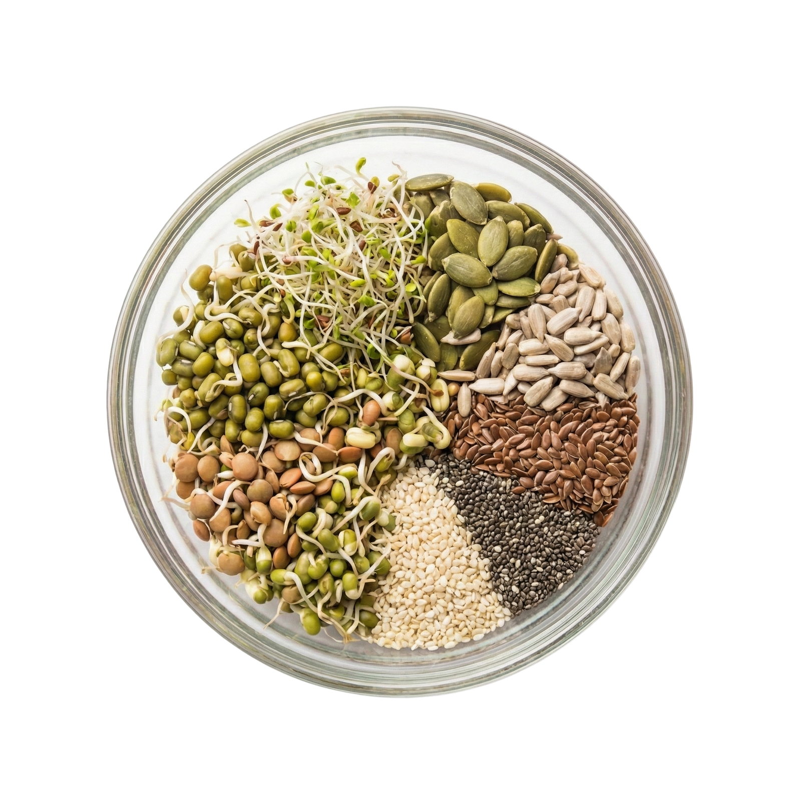 Home 18 Samen & Keimlinge