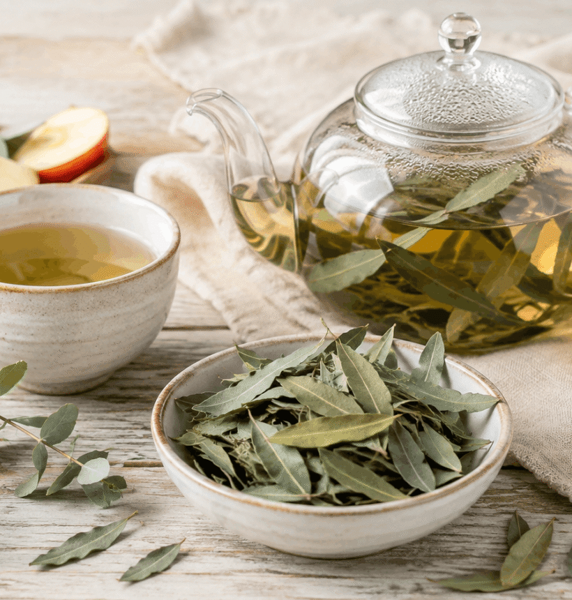 Geschnittene BIO Eukalyptusblätter von OmVeda mit Teekanne, Tasse, Orange, Apfel und Zitronengras